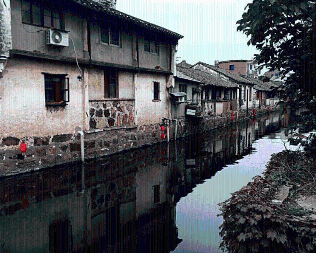 春雨直播app