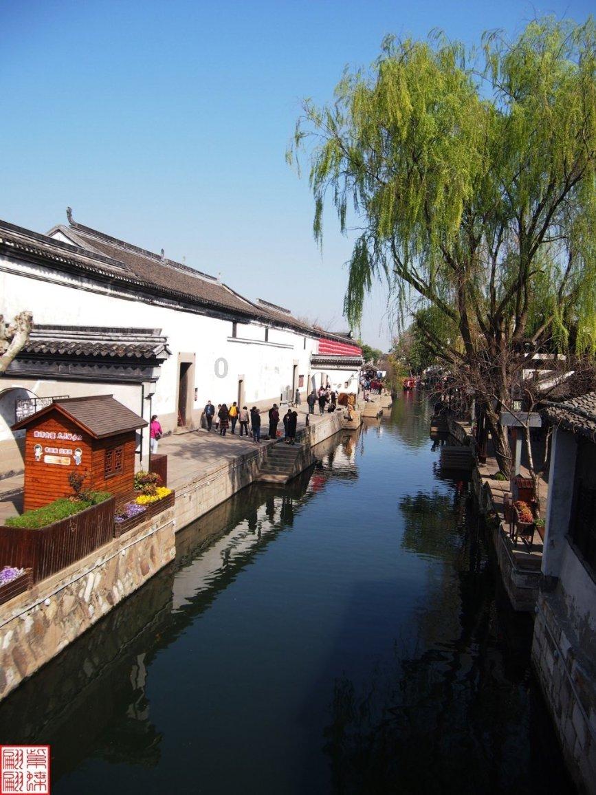 动物帮帮忙保卫家园